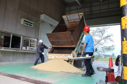 米荷受等作業